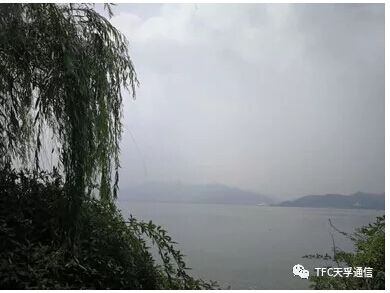 首页- J9集团国际站官网入口