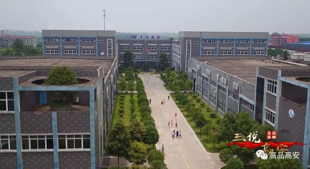 首页- J9集团国际站官网入口