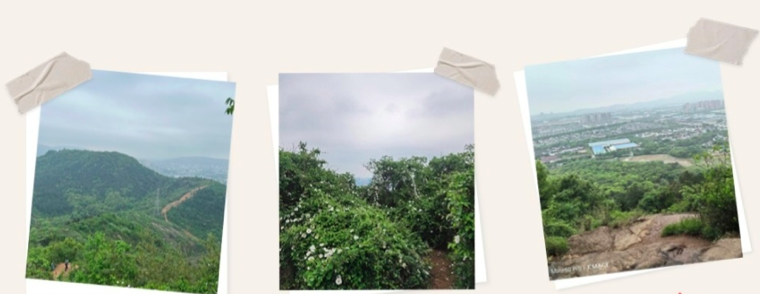 首页- J9集团国际站官网入口